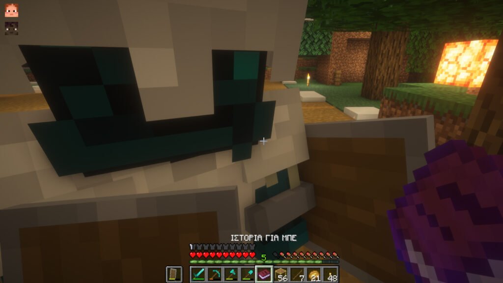 MicroVille Photo - Warden-Man